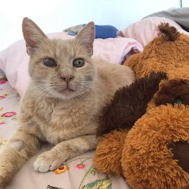 Salomon, un de nos protégés